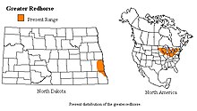 Fordelingen av Greater Redhorse strekker seg i lengderetningen fra sørøst i Nord -Dakota til østlige New York og i lengderetningen fra Nord -Michigan til sørlige Ohio.