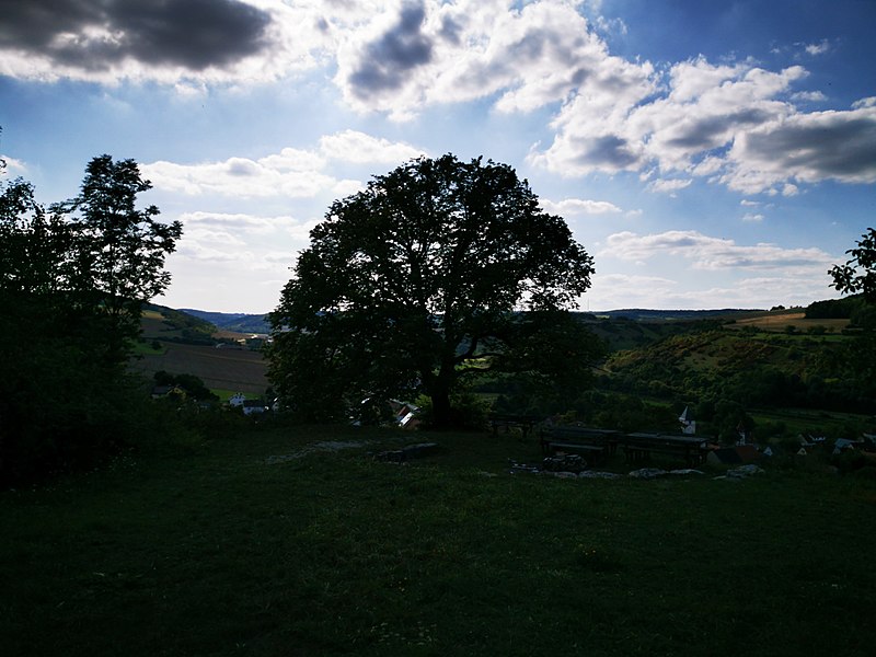 File:Grillplatz mit Aussicht auf Sachsenflur 2.jpg