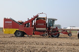 Potato harvester harvesting machine