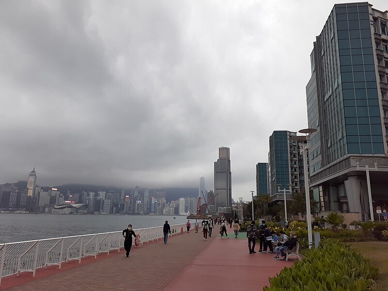 File:HK 尖沙咀海濱公園 Tsim Sha Tsui Promenade to 紅磡 Hung Hom Promrnade near Victoria Harbour March 2020 SS2 11.jpg