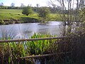 Kjelda til River Nene, på nordaustsida av Arbury Hill