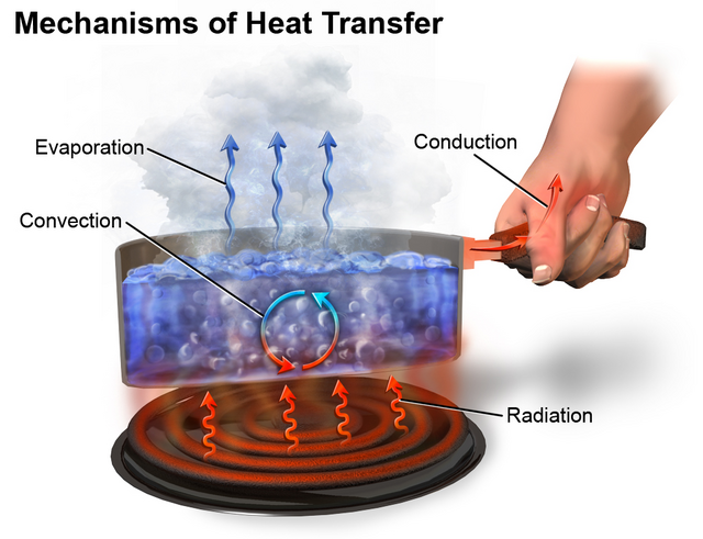 Basic mechanisms of heat transfer in a match flame: convection (allowed