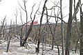 Helicopter involved in fire retardant operations, Long Mesa Fire, Mesa Verde National Park, July-August 2002 (370b89eb-f6ae-471e-a7b5-3e58fea827c0).jpg