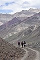 * Nomination Pin Parbati trail in Pin Valley near Mud, Spiti, Himachal. Elev. 3,810m/12,500' --Tagooty 10:40, 7 July 2021 (UTC) * Promotion  Support Good quality. --Nefronus 05:09, 10 July 2021 (UTC)