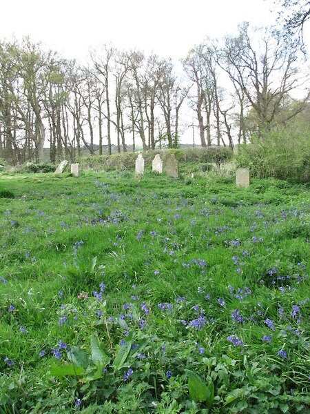 File:Hill Plantation - geograph.org.uk - 783279.jpg