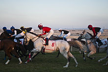 Horse racing in the Sakhir track Horse Race Complex 03.jpg