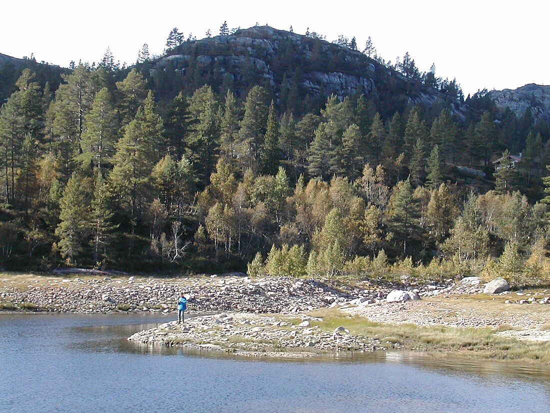 File:Hovatn setesdalen 1.JPG