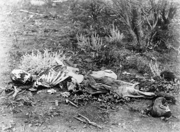 Forensic anthropologists can help identify skeletonized human remains, such as these found lying in scrub in Western Australia, c. 1900–1910.