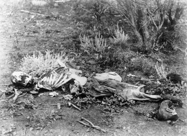 Forensic anthropologists can help identify skeletonized human remains, such as these found lying in scrub in Western Australia, c. 1900–1910.