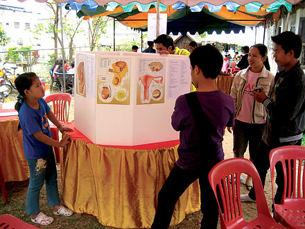 Lao students study a display about the human reproductive system. Exhibits such as this are rare in many less-developed countries, such as Laos. This event was held by Big Brother Mouse, a literacy and education project, which added Lao explanations to a commercially available set of panels that were printed with English.