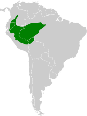 Hypocnemis peruviana map.svg