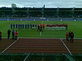 2009年に行われたアイスランド vs. スロバキアの親善試合の様子。