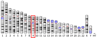 Dedicator of cytokinesis protein 8