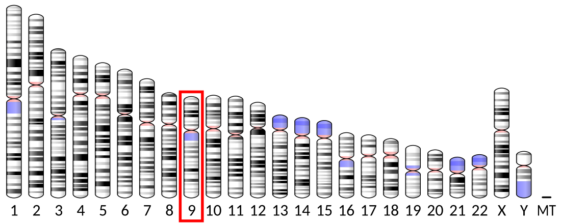 STX17