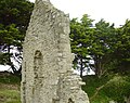 Île de Batz : la chapelle Sainte-Anne (en ruines) 11 (un autre mur)