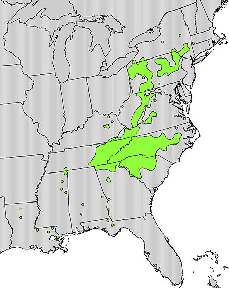 Ilex montana range map.jpg