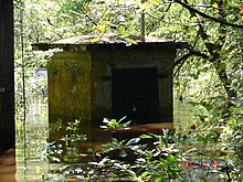 Flooding at streamflow-gaging station on the Toms River, after the peak on August 29, 2011