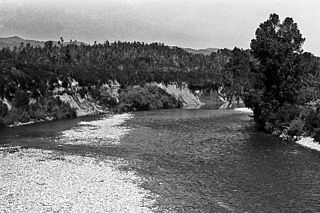 <span class="mw-page-title-main">Inangahua River</span> River in New Zealand