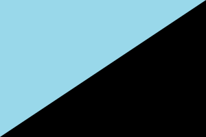 Individualist anarchism flag.svg