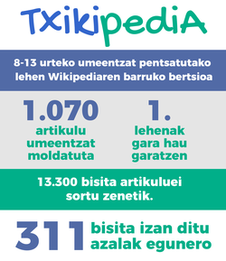 Infografia-txikipedia 2017-2018 balorazioa.png