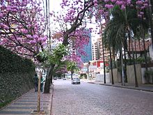 Coronel Quirino Street in the upper-class residential area of the Cambuí.