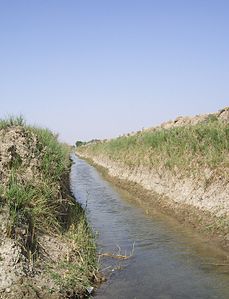 Canal de reg a l'Iraq actual, regió de Bagdad