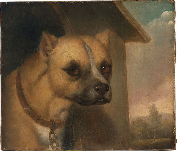 Staffordshire bull terrier by J. M. Crossland (1799–1858)