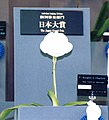 2011年1月23日 (日) 10:49時点における版のサムネイル