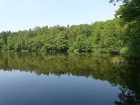 Жарский повет