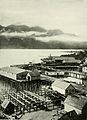 Juneau watrefront 1909.jpg