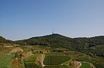 Totenkopf (Kaiserstuhl)