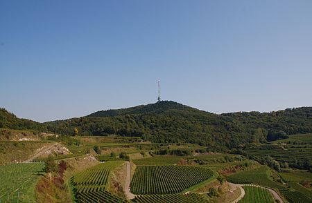 Kaiserstuhl Totenkopf