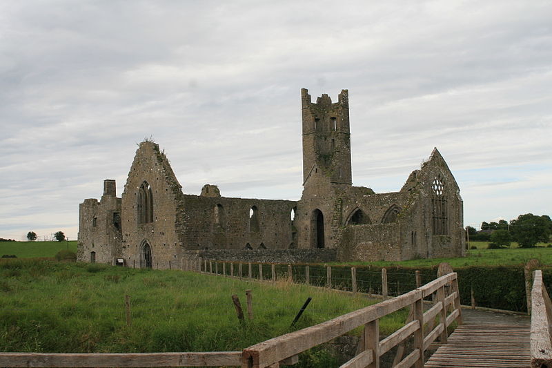 File:Kilmallock Priory SW 2007 08 08.jpg