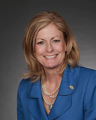 <span class="mw-page-title-main">Kim David</span> American politician