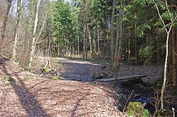 Kleine Brücke über die Bottwar.jpg