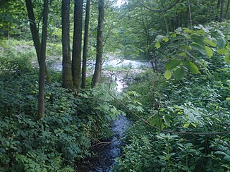 Mouth of the Kleine Steinau (front) into the Sieber