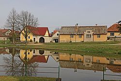 Košice, Doubí, common pond.jpg