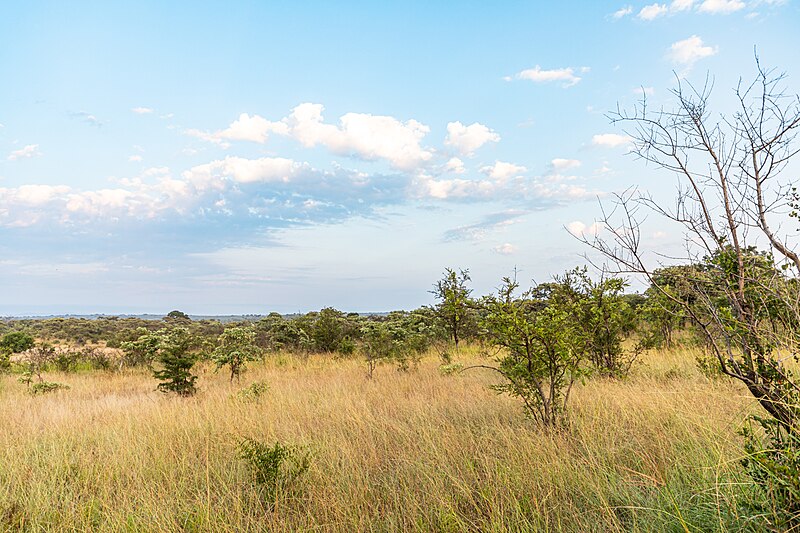 File:Kruger National Park (ZA), Landschaft -- 2024 -- 0031.jpg