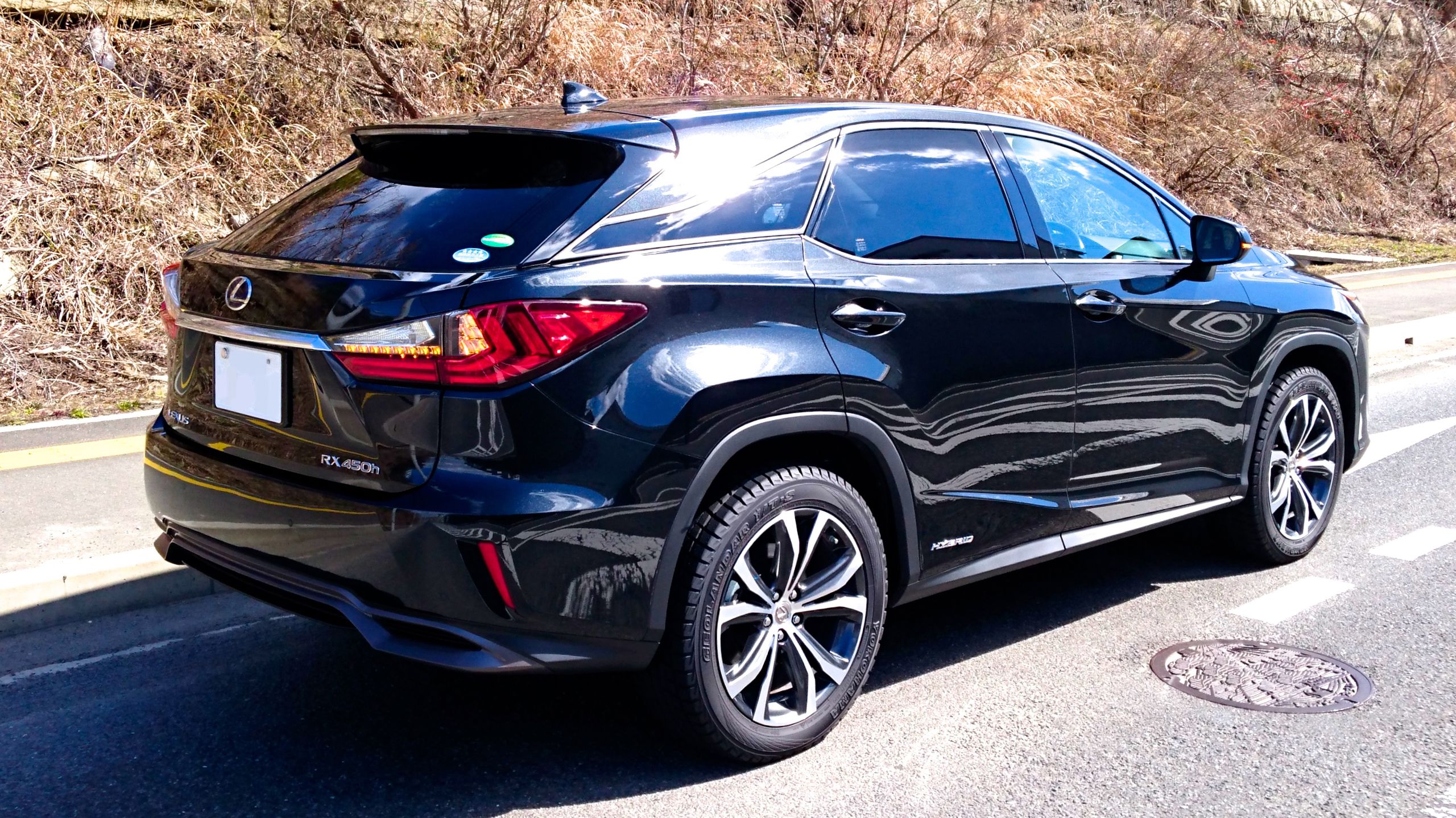 LEXUS RX450h 2016 JAPAN REAR.JPG