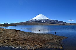 Lac Chungara - Parque Nacional Lauca - Région d'Arica y Parinacota.JPG