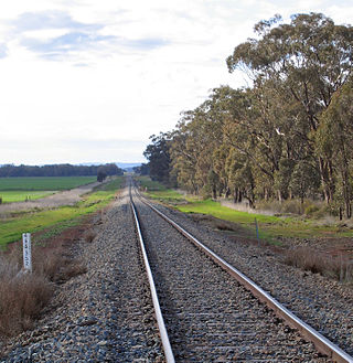 <span class="mw-page-title-main">Lake Cargelligo railway line</span> Railway line in Australia