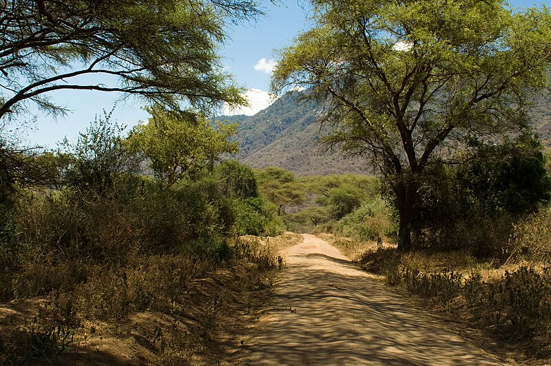 File:Lake Manyara road.jpg