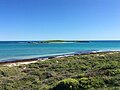 Lancelin Island viewed from the lookout