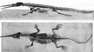 Paleocè: Subdivisions, Paleoclima, Paleogeografia