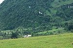 Lariguto valley, suco Ossu de cima, Osttimor