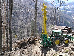 Forêt: Étymologie, Définitions, Évolution