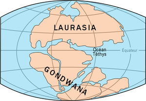 Era Mesozoica: Subdivisiones, Tectónica, Clima