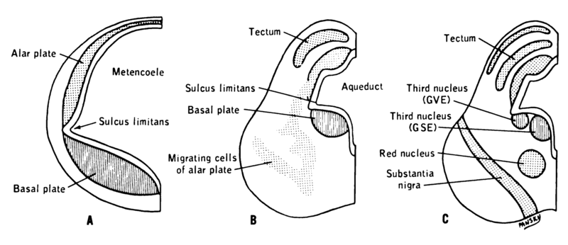 File:Lawrence 1960 5.12.png