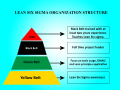 Lean Six Sigma Structure Pyramid.svg