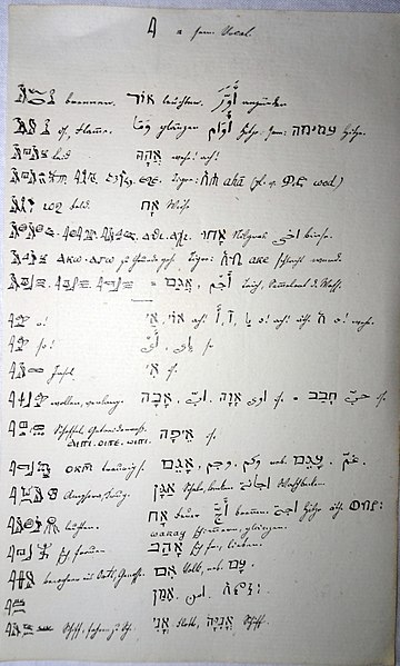 File:Leo Reinisch Handschriftliche Studien zu Hieroglyphen.jpg